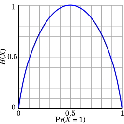 Binary entropy plot