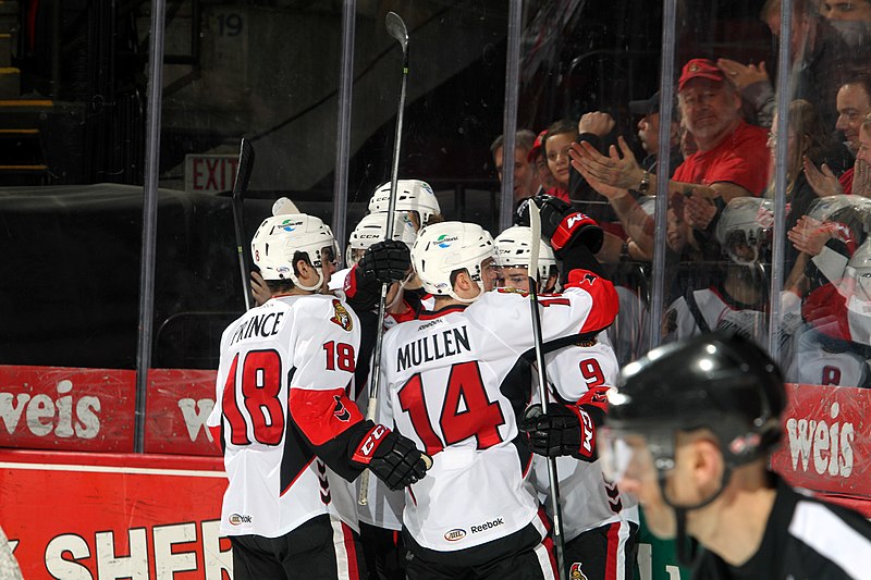 File:Binghamton Senators Hockey (50510266738).jpg