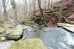 Bitburg-Albach (Eifel); Naturdenkmal Albachtal g