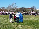 2018 Blossom Kite Festival, Washington, D.C.