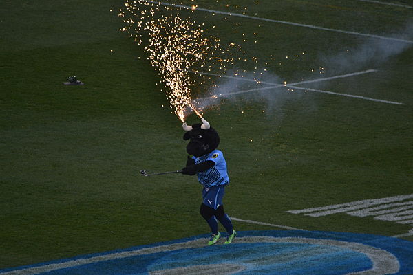 Bulletjie, the Blue Bulls mascot