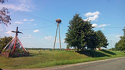 Holzstörche nisten in Woryny