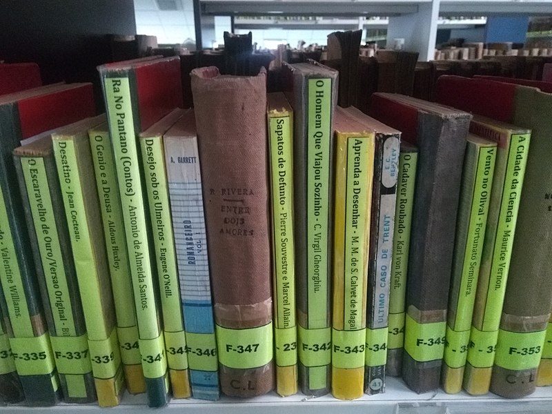File:Books At Central Library On Shelves.jpg