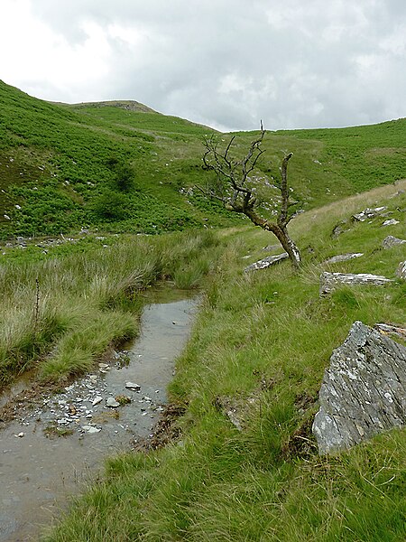 File:Bridleway in Cwm Egnant, Ceredigion - geograph.org.uk - 2740048.jpg