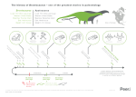 Нова SVG слика