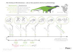 Infographic explaining the history of Brontosaurus and Apatosaurus according to Tschopp et al. 2015 Brontosaurus infographic.svg