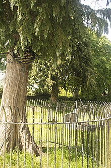 Thomas Bunns Grab auf dem Friedhof der Christ Church, 1853