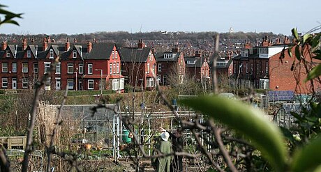 File:Burley-Leeds-UK view model allotments.jpg