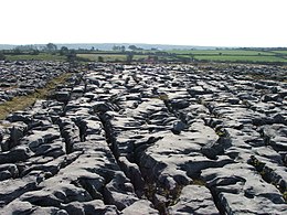 Burren carso1.jpg