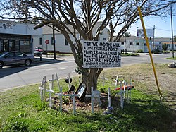 A quote from Van Heerden is on this neighborhood memorial to Katrina dead in the Bywater section of New Orleans BywaterKarinaMemorial20Nov06VanHeerdenQuote.jpg