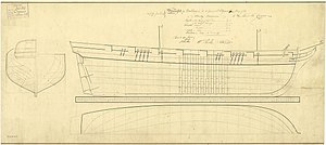 CROCUS 1808 RMG J4810.jpg