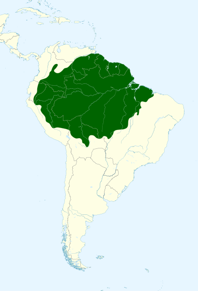 File:Campylopterus largipennis map.svg