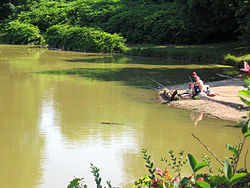 Jezero Canonsburg červenec 2007.jpg