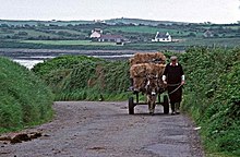 Farmer near Carrigaholt in 1992