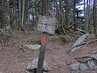 Cattail-peak-summit-nc1.jpg