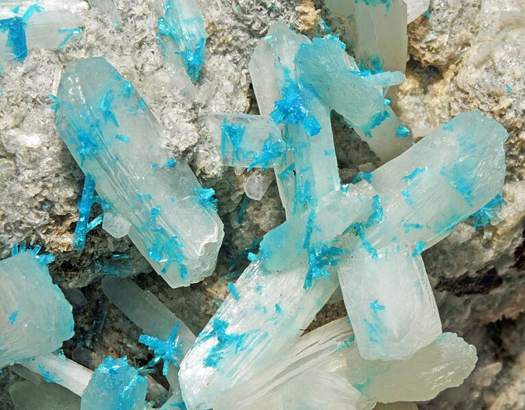 File:Cavansite sur stilbite (Poonah, Maharashtra - India) 5.jpg