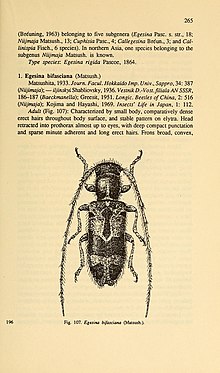 Cerambycidae of Northern Asia (Page 265) BHL32145665.jpg