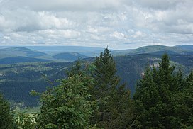 Cerro Grande summit before fire.JPG