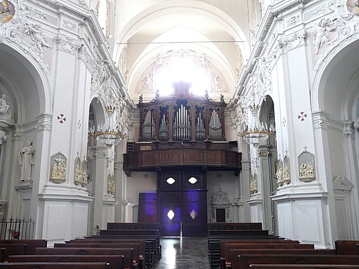 Cherasco-santuario madonna del popolo-organo