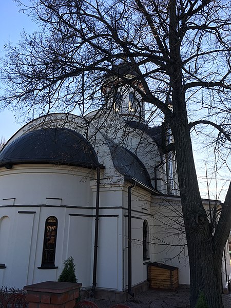 File:Church of the Theotokos of Tikhvin, Troitsk - 3637.jpg