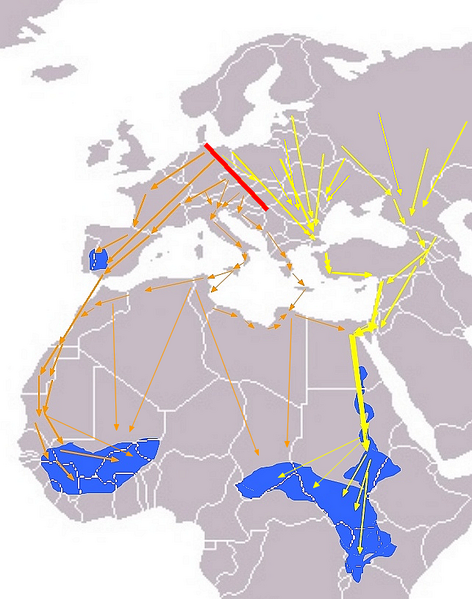 File:Ciconia nigra Eurasian Migration.png