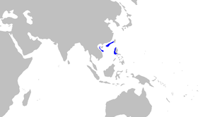 Cirrhoscyllium_expolitum_distmap.png -kuvan kuvaus.