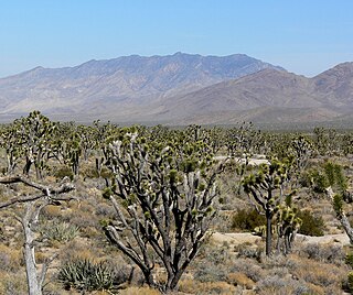 <span class="mw-page-title-main">Clark Mountain Range</span> Mountain range in California