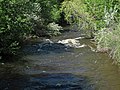 Clear Creek (Buffalo, Wyoming, USA) (1 June 2017) 2 (35045637455).jpg