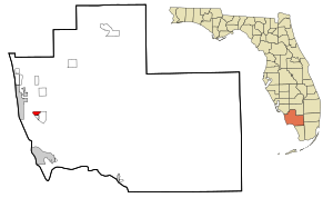 Collier County Florida Incorporated and Unincorporated areas Lely Highlighted.svg