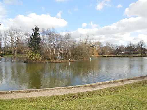 Common Pond, Hailsham - geograph.org.uk - 4353021