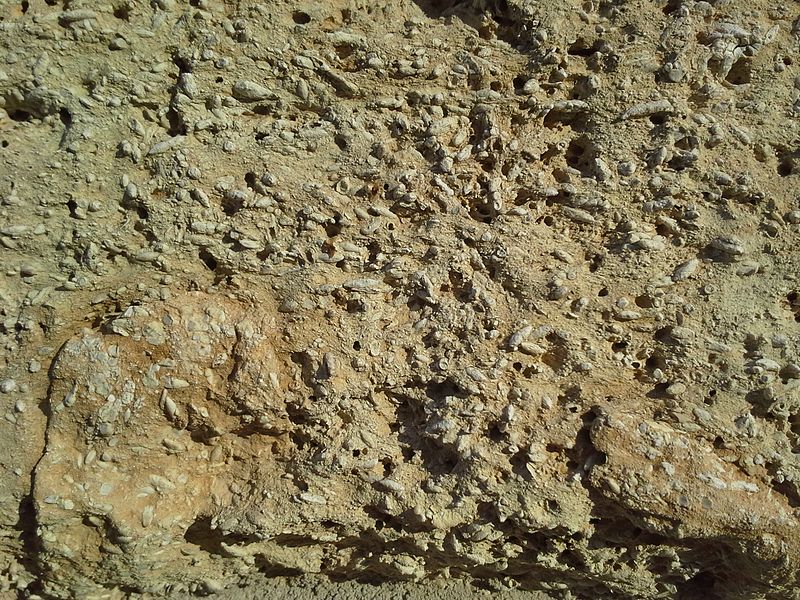 File:Cottonwood Limestone, cut, weathered.jpg