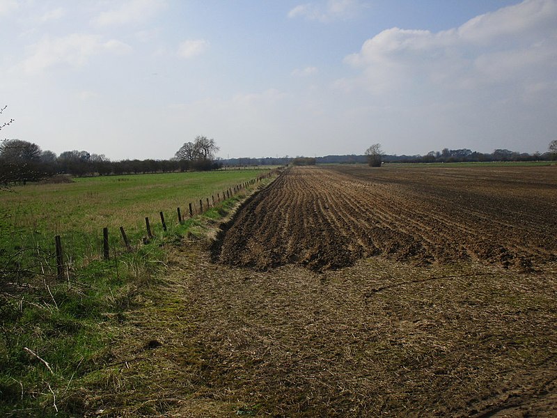 File:Course of the former Beverley to York railway line (geograph 5738104).jpg