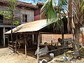 Cow Pen and Facades - Kampong Cham - Cambodia (48336137397).jpg