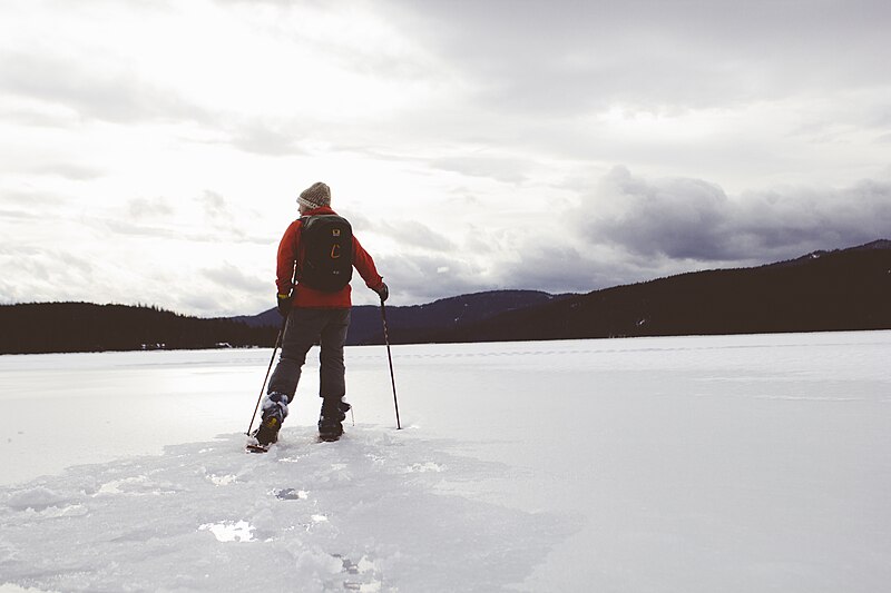 File:Cross Country Skiing (Unsplash).jpg