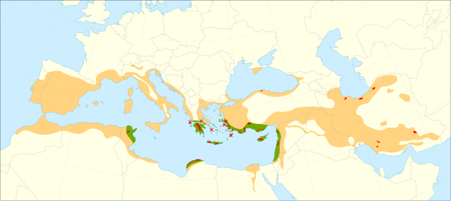 Distribua mapo de Cupressus sempervirens (Mediteranea Cipreso). Legendo: Ruĝe: Nunaj indiĝenaj standoj. Verde: Verŝajna natura gamo. Oranĝe: Kulturita/naturigita gamo.