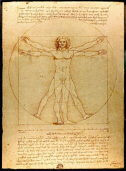 L’Homme de Vitruve, gravure réalisée à la plume, avec encre et lavis sur papier, vers 1485-1490 par Léonard de Vinci, exposée à la Galleria dell’Accademia de Venise. (définition réelle 2 258 × 3 070)