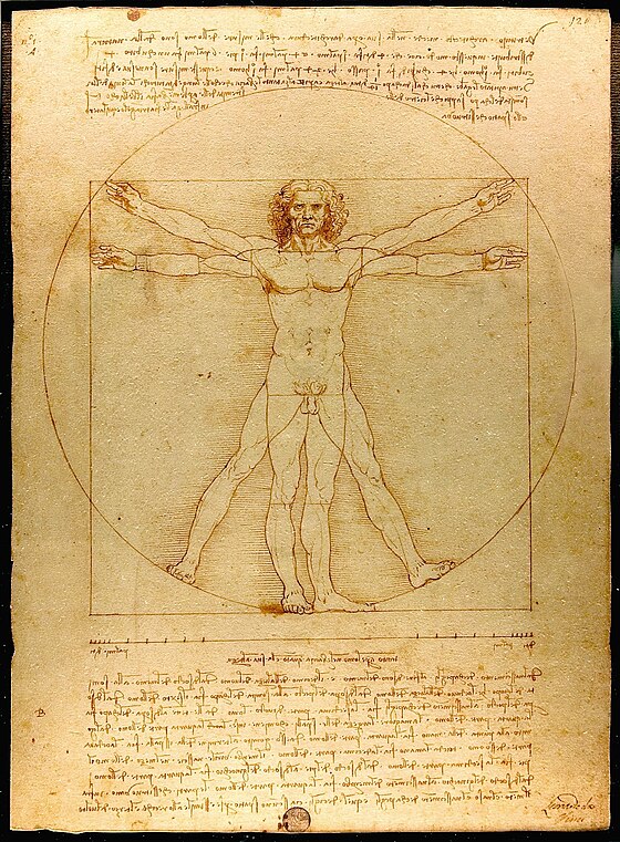 Leonardo da Vinci's Vitruvian Man (c. 1490) shows the correlations of ideal human body proportions with geometry described by the ancient Roman architect Vitruvius in his De Architectura. Vitruvius described the human figure as being like the principal source of proportion among the Classical orders of architecture.