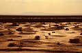 Damghan - Forat - National Iranian desert - panoramio.jpg