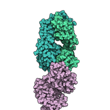 Daratumumab CD38 7DHA.png