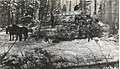 Decking logs on V & RL sale, 1 10 1918 (5187335403).jpg