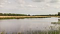 * Nomination Delleboersterheide–Catspoele Natural site of It Fryske Gea. View of lake. --Agnes Monkelbaan 04:54, 30 June 2019 (UTC) * Promotion  Support Good quality. --Manfred Kuzel 04:57, 30 June 2019 (UTC)