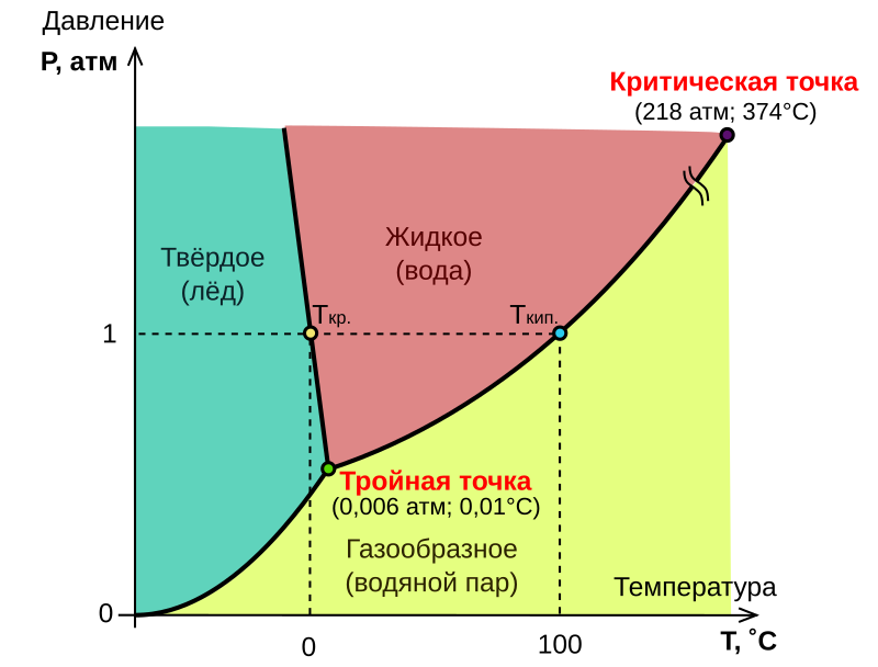 Как понять зумеров? 19 выражений, которыми пользуется молодое поколение