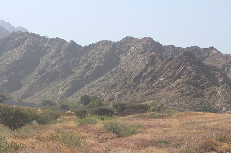 File:Dibba Al Fujairah Nature22.jpg