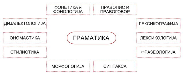 Дисциплините на македонската граматика.
