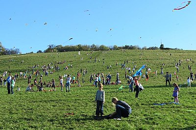 Drachenfest in Tübingen, 2014.jpg