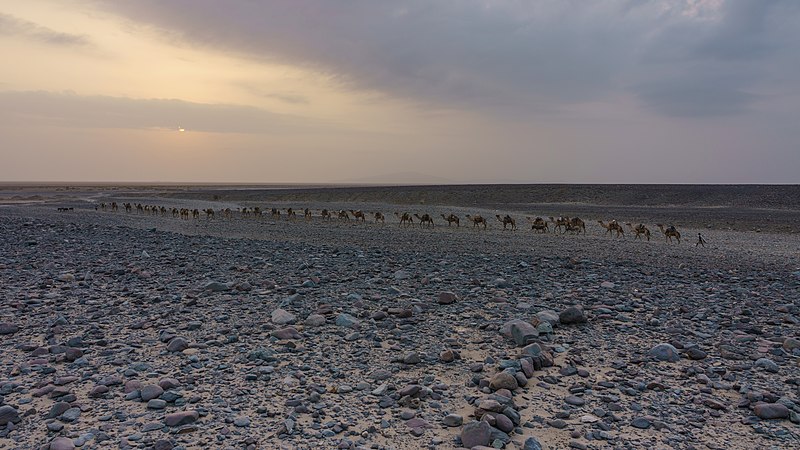 File:ET Afar asv2018-01 img13 Lake Karum area.jpg