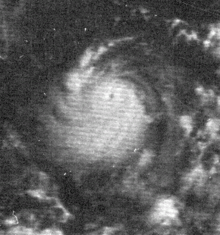 Edith1971sep91339z.png