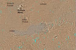 Map of Elysium quadrangle. Elysium Mons and Albor Tholus are large volcanoes. The crater Lockyer is at the top of the map.