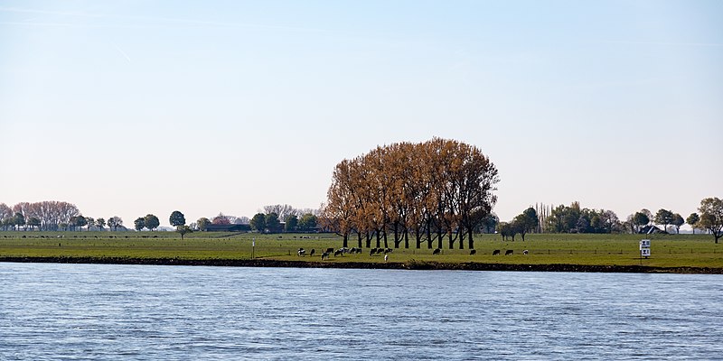 File:Emmerich am Rhein, Rhein -- 2016 -- 2321.jpg