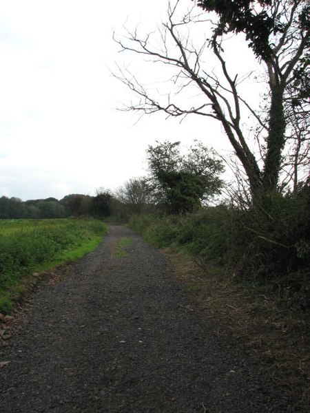 File:End of The Walk - geograph.org.uk - 578829.jpg